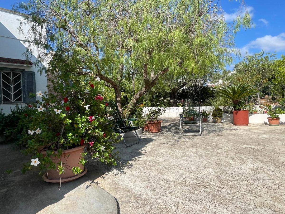Villa Gioia Ostuni Luaran gambar