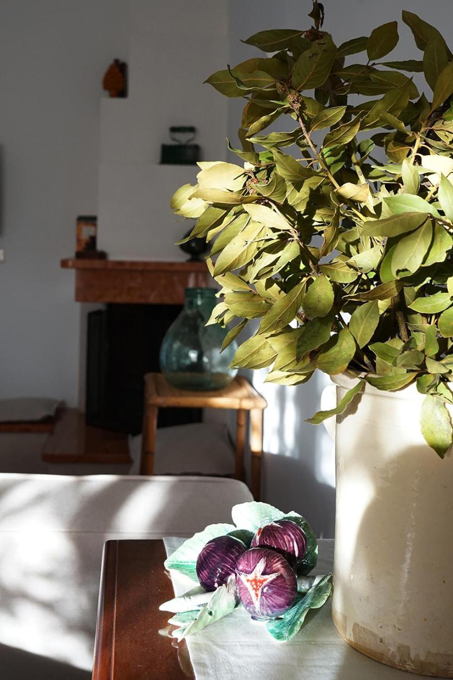 Villa Gioia Ostuni Luaran gambar